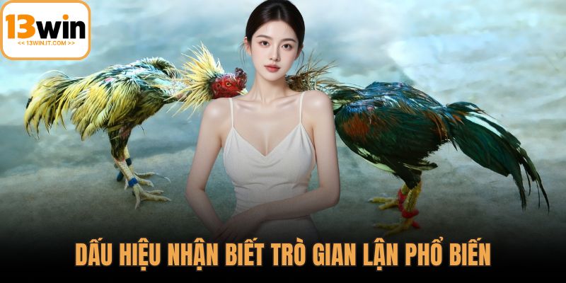 Bj88 đá gà