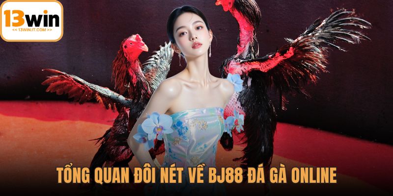 Bj88 đá gà